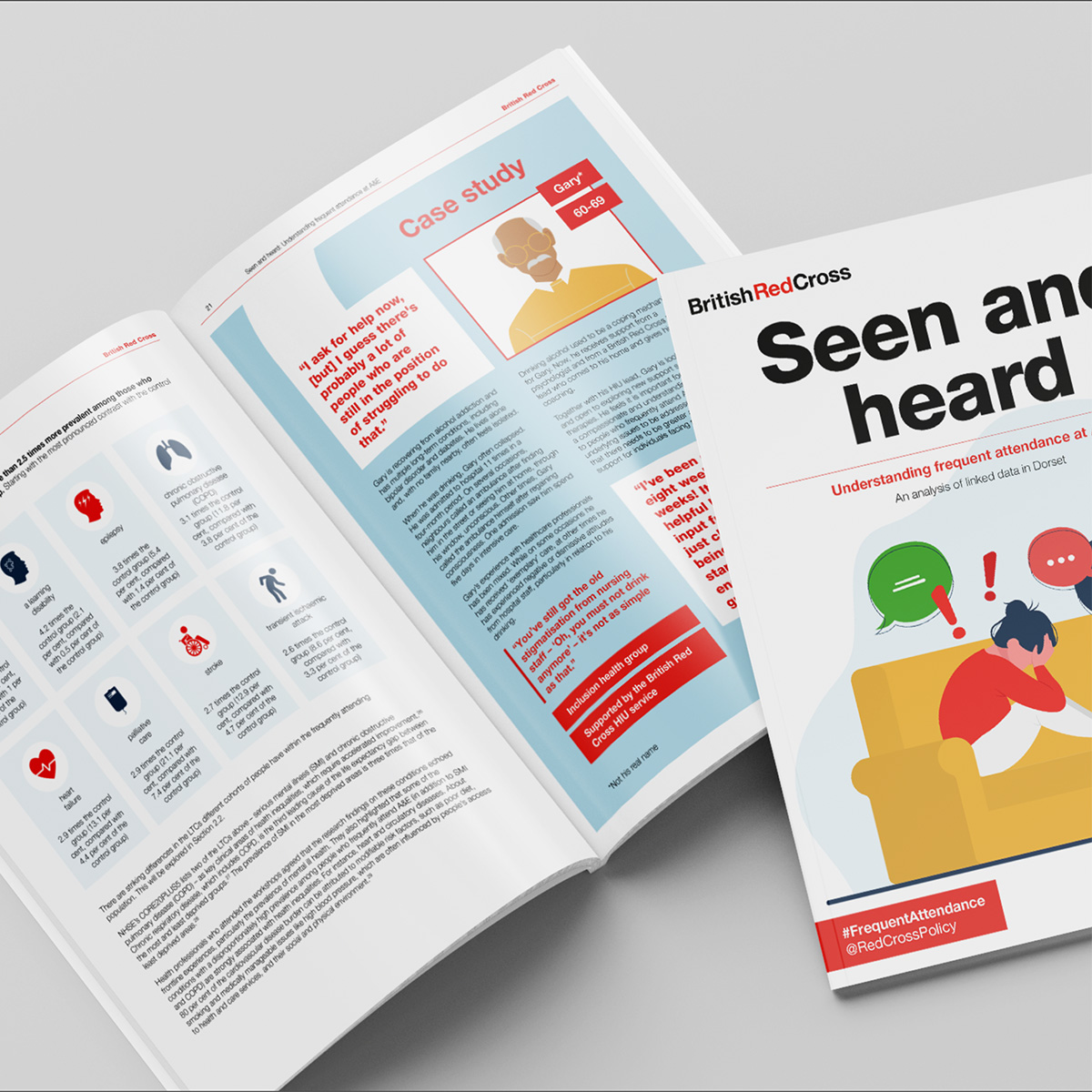 The British Red Cross Seen & Heard Report