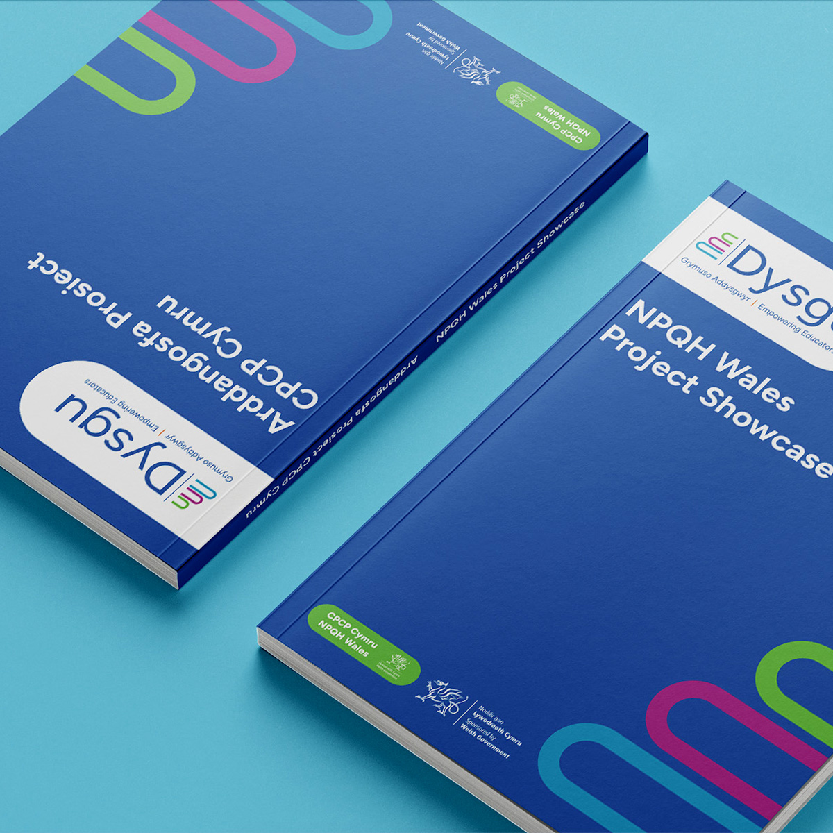 Dysgu A4 Brochure Report